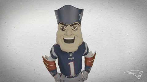 Celebrate Its Good GIF by New England Patriots