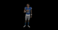 Football No GIF by Detroit Lions