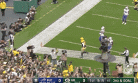 2018 Nfl Football GIF by NFL