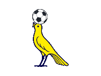 ModenaFC modena modenafc fcmodena modenacalcio Sticker