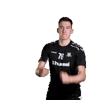 hattrick-brno sport floorball salibandy innebandy Sticker