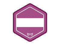 Challenge Badge Sticker by Molchanovs