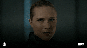 Evan Rachel Wood Genre GIF by Westworld HBO