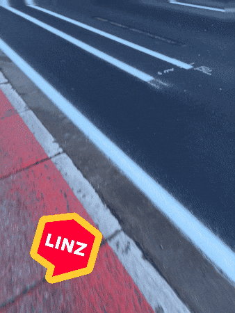 Street No GIF by Linz News