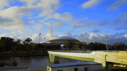 GIF by Adelaide Crows