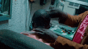music video africa GIF