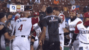 Excited Baseball Team GIF by Jomboy Media