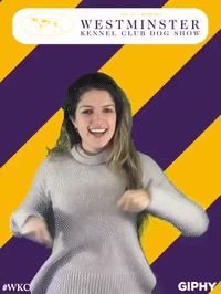 wkcdogshow GIF by Westminster Kennel Club