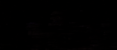 kentucky louisville GIF