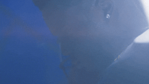 Go Blue Michigan Football GIF by Michigan Athletics