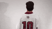 Mens Lacrosse Roll Pards GIF by Lafayette Leopards