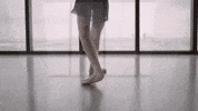 Dance Ballet GIF