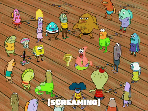 season 5 GIF by SpongeBob SquarePants