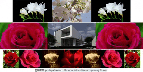 sorinelbalan giphyupload GIF