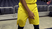 Hinkle Fieldhouse Wnba GIF by Indiana Fever