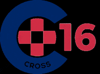 croatianstudentsummit student brain cross medicine GIF