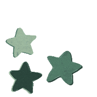 Star Ver Sticker