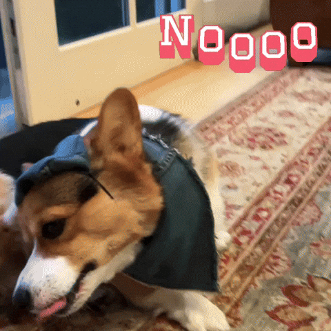 Noooo GIF