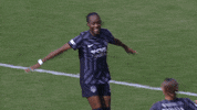 Womens Soccer Celebration GIF by National Women's Soccer League