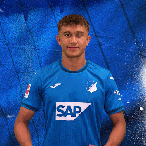 Sport Bundesliga GIF by TSG Hoffenheim