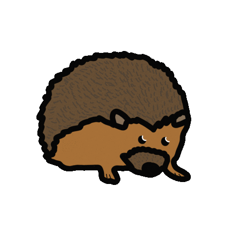 Hedgehog Sticker