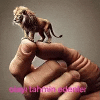 Ed Eden GIF
