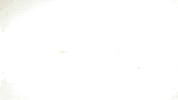 music video GIF by Aleem