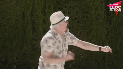 GIF by À Punt Mèdia