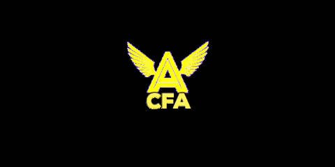 Brawlightfilm giphygifmaker giphyattribution crossfit cfawings GIF