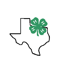 tx4h heart green texas youth Sticker