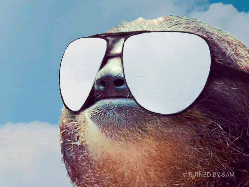 Digital art gif. Cut out image of a sloth wearing sunglasses sits against a backdrop of a sunny blue sky with moving clouds, which are reflected in the sunglasses.