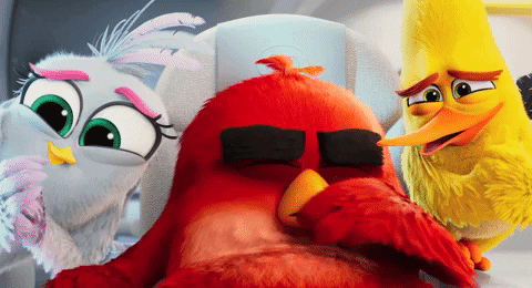 GIF by Angry Birds Movie