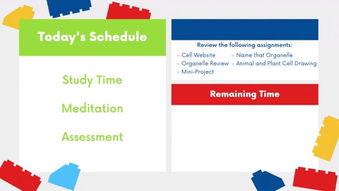 teacheremacdonald giphyupload GIF