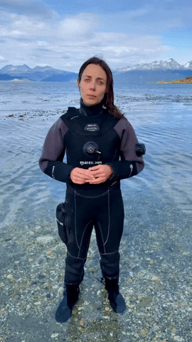 gparg giphyupload GIF