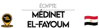 Nn Medinet Sticker by NoirNomads
