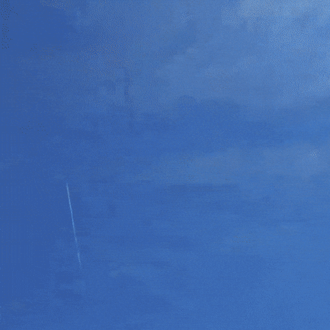 Phone Apeldoorn GIF by Centraal Beheer