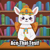Study Library GIF by Llamaozi