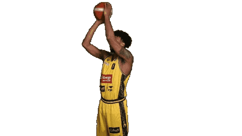 Celebration Basketball Sticker by Trefl Sopot