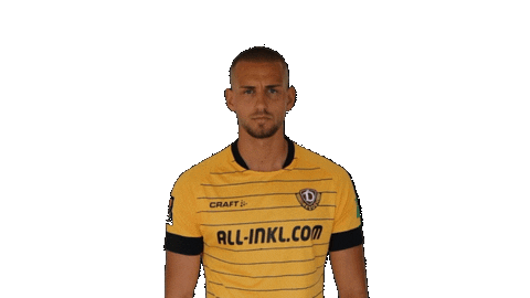 Swipe Celebrate Sticker by SG Dynamo Dresden