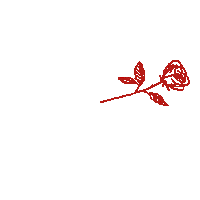 sorry i love you Sticker by Vacation Forever
