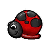 Follow Us Things To Do Sticker by Armada Glass Company