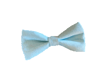 Bow Bowtie Sticker