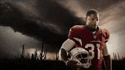 GIF by azcardinals
