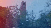 Ufcoe GIF by University of Florida College of Education