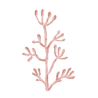 Watercolor Coral Sticker