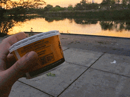 Walking Sunset GIF by Don't mess with Texas