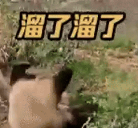 ehdgus1211 giphyupload GIF