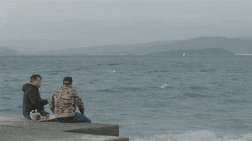 new zealand GIF by CBC