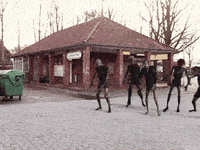 Jenny Bodes GIF by Ministerium Für Guten Geschmack