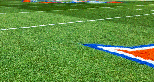 football field paint GIF by University of Florida